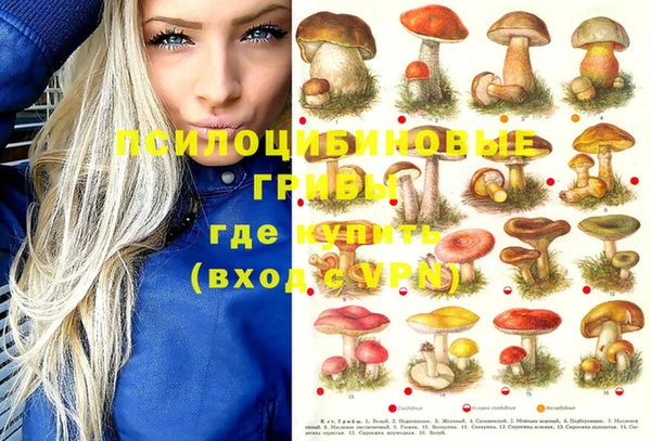 наркотики Алексин